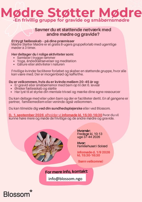 Billedet viser en "Mødre støtter mødre" folder